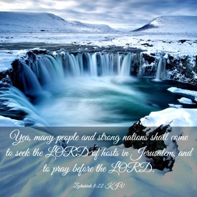Picture 03 - Zechariah 8:22 KJV - Yea, many people and strong nations shall come to - Bible Verse Picture
