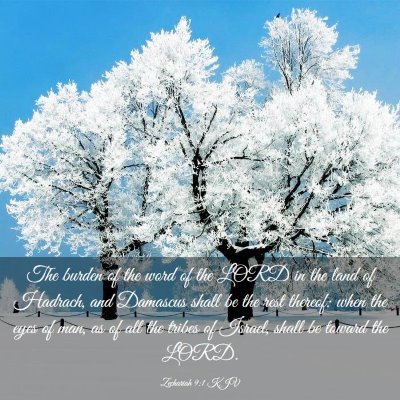Picture 03 - Zechariah 9:1 KJV - The burden of the word of the LORD in the land of - Bible Verse Picture