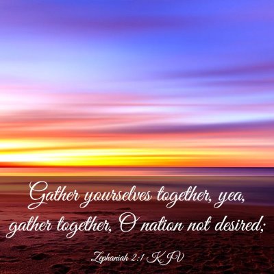 Picture 03 - Zephaniah 2:1 KJV - Gather yourselves together, yea, gather together, - Bible Verse Picture