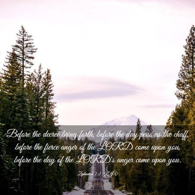 Picture 03 - Zephaniah 2:2 KJV - Before the decree bring forth, before the day - Bible Verse Picture