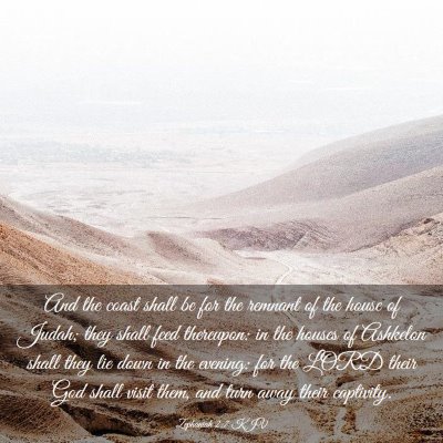 Picture 03 - Zephaniah 2:7 KJV - And the coast shall be for the remnant of the - Bible Verse Picture