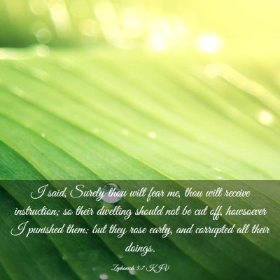 Picture 03 - Zephaniah 3:7 KJV - I said, Surely thou wilt fear me, thou wilt - Bible Verse Picture