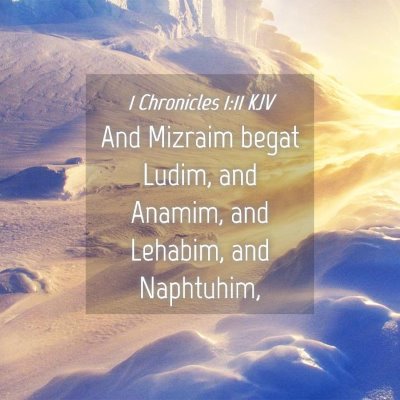 Picture 04 - 1 Chronicles 1:11 KJV - And Mizraim begat Ludim, and Anamim, and Lehabim, - Bible Verse Picture