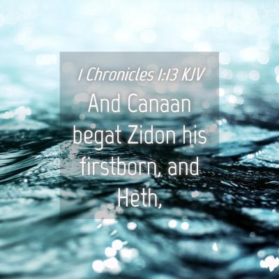 Picture 04 - 1 Chronicles 1:13 KJV - And Canaan begat Zidon his firstborn, and - Bible Verse Picture