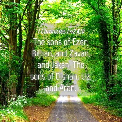 Picture 04 - 1 Chronicles 1:42 KJV - The sons of Ezer; Bilhan, and Zavan, and Jakan. - Bible Verse Picture