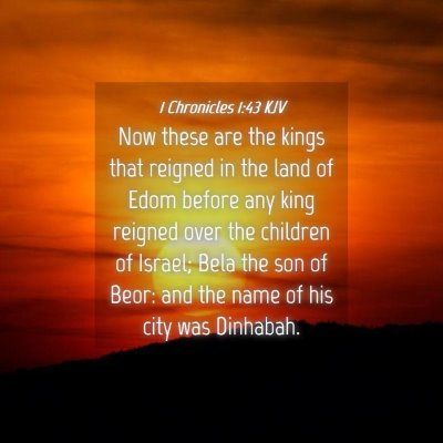 Picture 04 - 1 Chronicles 1:43 KJV - Now these are the kings that reigned in the land - Bible Verse Picture