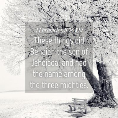 Picture 04 - 1 Chronicles 11:24 KJV - These things did Benaiah the son of Jehoiada, and - Bible Verse Picture