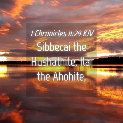 Picture 04 - 1 Chronicles 11:29 KJV - Sibbecai the Hushathite, Ilai the - Bible Verse Picture