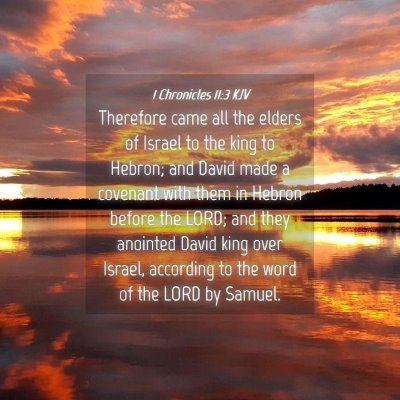 Picture 04 - 1 Chronicles 11:3 KJV - Therefore came all the elders of Israel to the - Bible Verse Picture