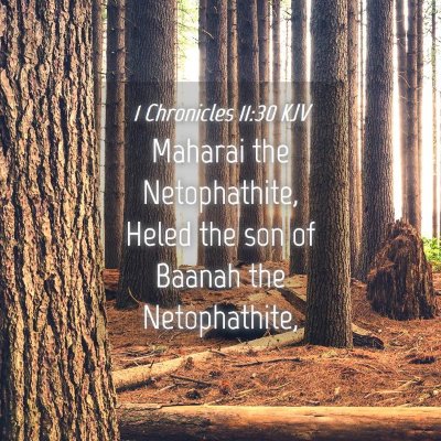 Picture 04 - 1 Chronicles 11:30 KJV - Maharai the Netophathite, Heled the son of Baanah - Bible Verse Picture