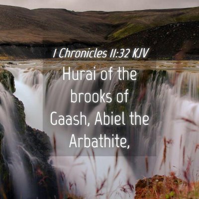 Picture 04 - 1 Chronicles 11:32 KJV - Hurai of the brooks of Gaash, Abiel the - Bible Verse Picture