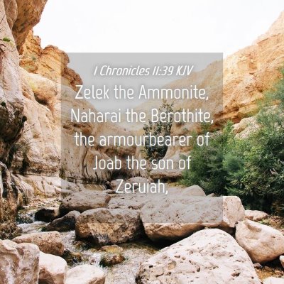 Picture 04 - 1 Chronicles 11:39 KJV - Zelek the Ammonite, Naharai the Berothite, the - Bible Verse Picture
