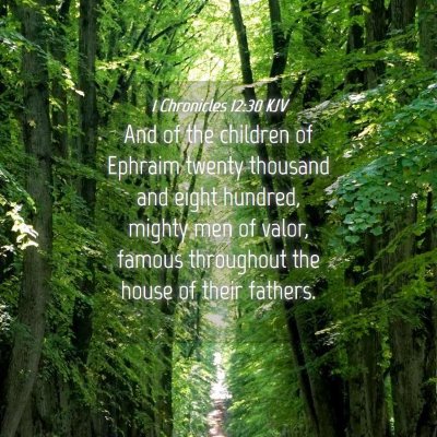 Picture 04 - 1 Chronicles 12:30 KJV - And of the children of Ephraim twenty thousand - Bible Verse Picture