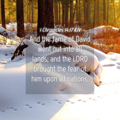 Picture 04 - 1 Chronicles 14:17 KJV - And the fame of David went out into all lands; - Bible Verse Picture