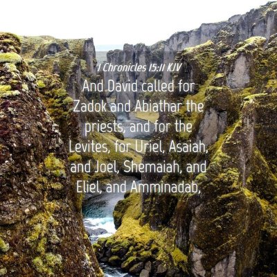 Picture 04 - 1 Chronicles 15:11 KJV - And David called for Zadok and Abiathar the - Bible Verse Picture