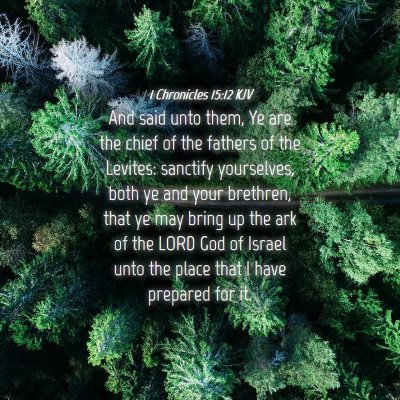 Picture 04 - 1 Chronicles 15:12 KJV - And said unto them, Ye are the chief of the - Bible Verse Picture