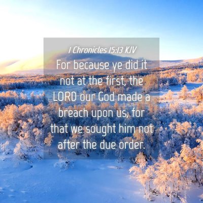 Picture 04 - 1 Chronicles 15:13 KJV - For because ye did it not at the first, the LORD - Bible Verse Picture
