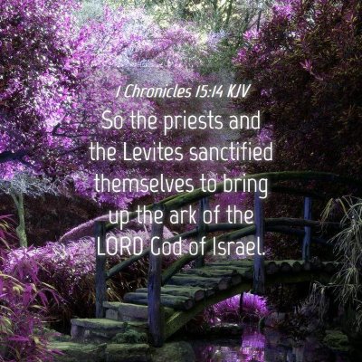Picture 04 - 1 Chronicles 15:14 KJV - So the priests and the Levites sanctified - Bible Verse Picture