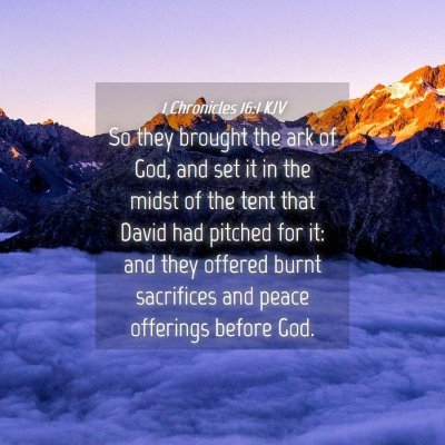 Picture 04 - 1 Chronicles 16:1 KJV - So they brought the ark of God, and set it in the - Bible Verse Picture