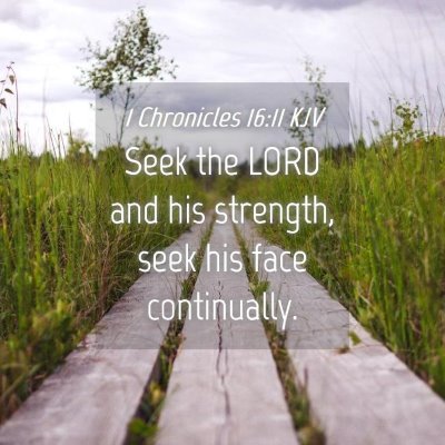 Picture 04 - 1 Chronicles 16:11 KJV - Seek the LORD and his strength, seek his face - Bible Verse Picture