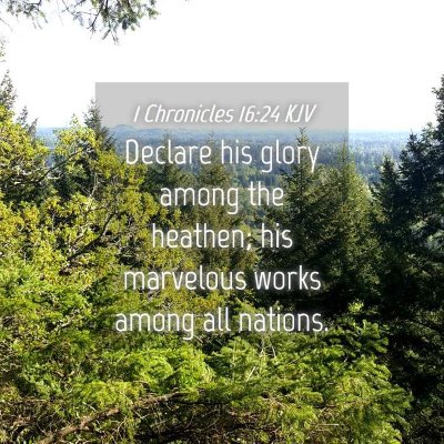 Picture 04 - 1 Chronicles 16:24 KJV - Declare his glory among the heathen; his - Bible Verse Picture