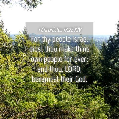 Picture 04 - 1 Chronicles 17:22 KJV - For thy people Israel didst thou make thine own - Bible Verse Picture