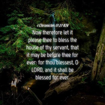 Picture 04 - 1 Chronicles 17:27 KJV - Now therefore let it please thee to bless the - Bible Verse Picture
