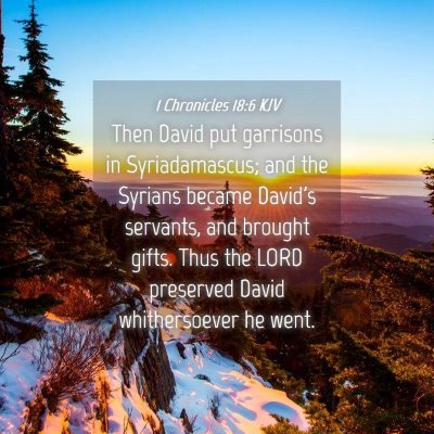 Picture 04 - 1 Chronicles 18:6 KJV - Then David put garrisons in Syriadamascus; and - Bible Verse Picture