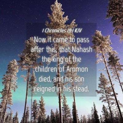 Picture 04 - 1 Chronicles 19:1 KJV - Now it came to pass after this, that Nahash the - Bible Verse Picture