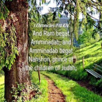 Picture 04 - 1 Chronicles 2:10 KJV - And Ram begat Amminadab; and Amminadab begat - Bible Verse Picture