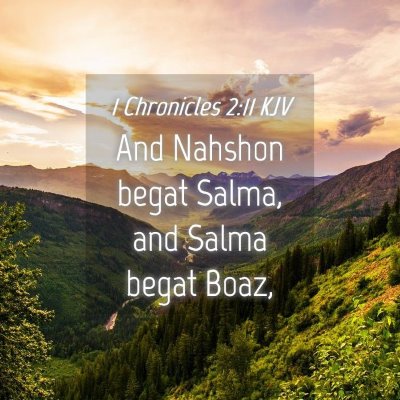Picture 04 - 1 Chronicles 2:11 KJV - And Nahshon begat Salma, and Salma begat - Bible Verse Picture