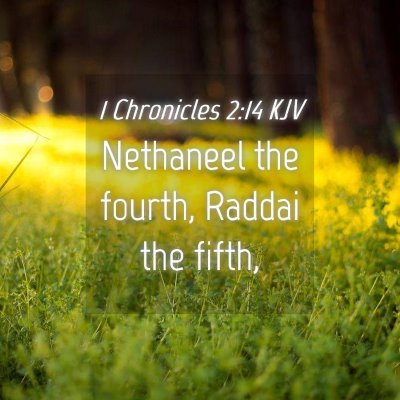 Picture 04 - 1 Chronicles 2:14 KJV - Nethaneel the fourth, Raddai the - Bible Verse Picture