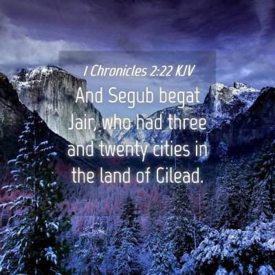 Picture 04 - 1 Chronicles 2:22 KJV - And Segub begat Jair, who had three and twenty - Bible Verse Picture
