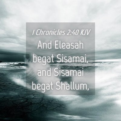 Picture 04 - 1 Chronicles 2:40 KJV - And Eleasah begat Sisamai, and Sisamai begat - Bible Verse Picture