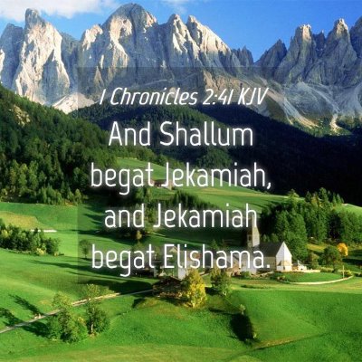 Picture 04 - 1 Chronicles 2:41 KJV - And Shallum begat Jekamiah, and Jekamiah begat - Bible Verse Picture