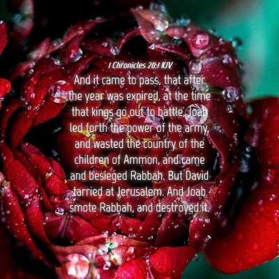 Picture 04 - 1 Chronicles 20:1 KJV - And it came to pass, that after the year was - Bible Verse Picture