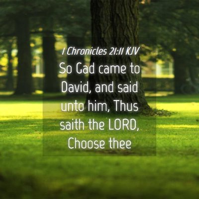 Picture 04 - 1 Chronicles 21:11 KJV - So Gad came to David, and said unto him, Thus - Bible Verse Picture