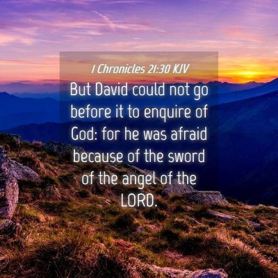 Picture 04 - 1 Chronicles 21:30 KJV - But David could not go before it to enquire of - Bible Verse Picture