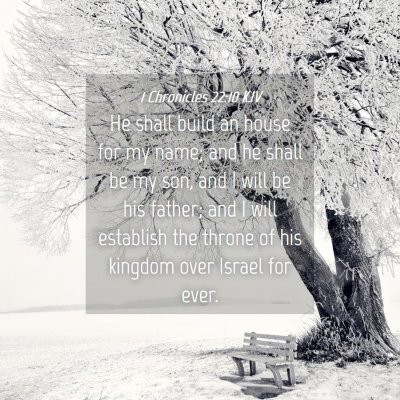 Picture 04 - 1 Chronicles 22:10 KJV - He shall build an house for my name; and he shall - Bible Verse Picture