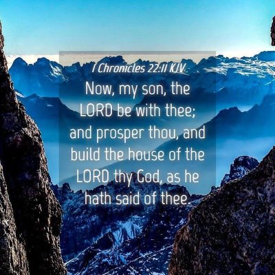 Picture 04 - 1 Chronicles 22:11 KJV - Now, my son, the LORD be with thee; and prosper - Bible Verse Picture