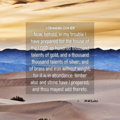 Picture 04 - 1 Chronicles 22:14 KJV - Now, behold, in my trouble I have prepared for - Bible Verse Picture