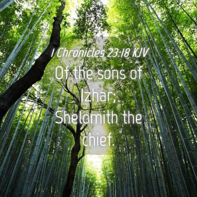 Picture 04 - 1 Chronicles 23:18 KJV - Of the sons of Izhar; Shelomith the - Bible Verse Picture