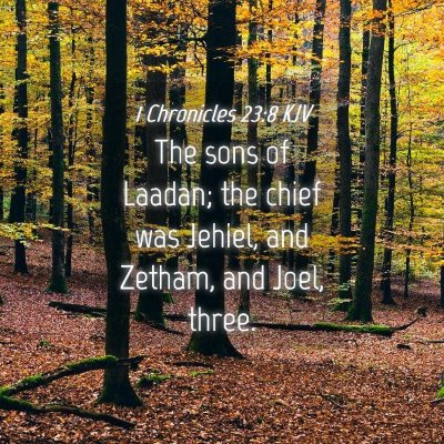 Picture 04 - 1 Chronicles 23:8 KJV - The sons of Laadan; the chief was Jehiel, and - Bible Verse Picture