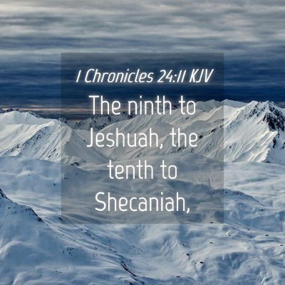 Picture 04 - 1 Chronicles 24:11 KJV - The ninth to Jeshuah, the tenth to - Bible Verse Picture