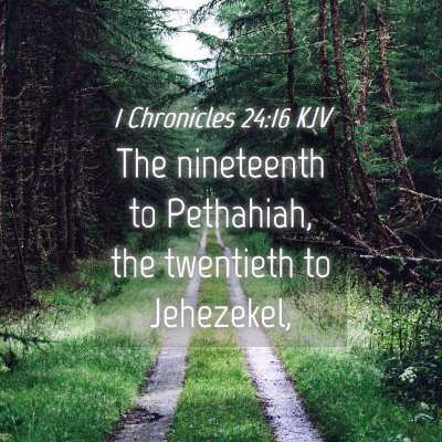 Picture 04 - 1 Chronicles 24:16 KJV - The nineteenth to Pethahiah, the twentieth to - Bible Verse Picture