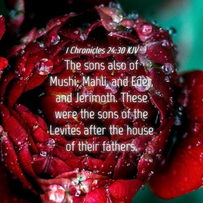 Picture 04 - 1 Chronicles 24:30 KJV - The sons also of Mushi; Mahli, and Eder, and - Bible Verse Picture