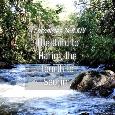Picture 04 - 1 Chronicles 24:8 KJV - The third to Harim, the fourth to - Bible Verse Picture