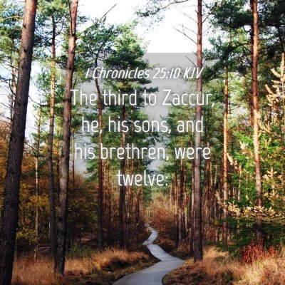 Picture 04 - 1 Chronicles 25:10 KJV - The third to Zaccur, he, his sons, and his - Bible Verse Picture