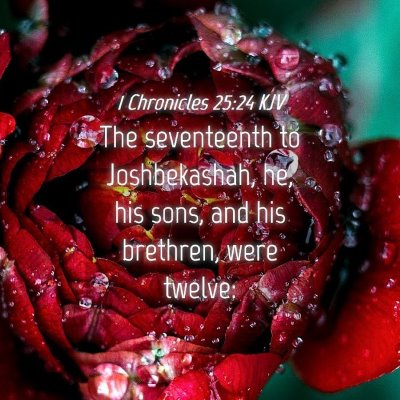 Picture 04 - 1 Chronicles 25:24 KJV - The seventeenth to Joshbekashah, he, his sons, - Bible Verse Picture
