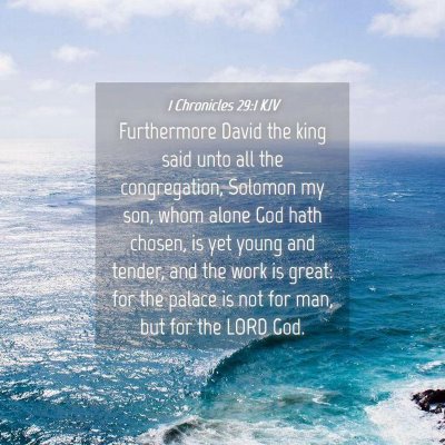 Picture 04 - 1 Chronicles 29:1 KJV - Furthermore David the king said unto all the - Bible Verse Picture